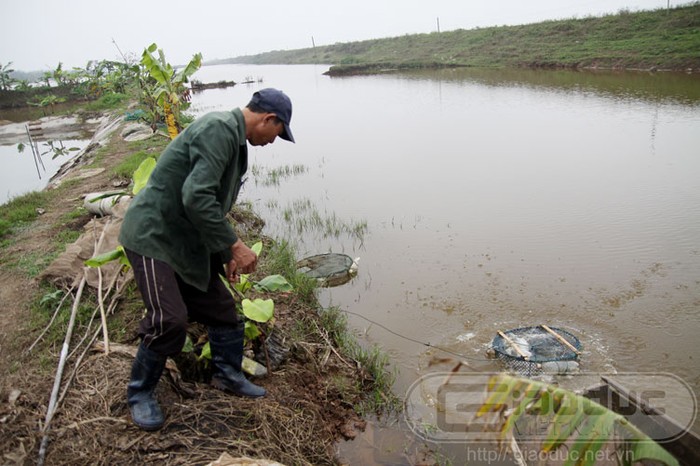 Những lồng cá được đánh bắt với niềm hân hoan của các hộ nuôi trồng thủy sản tại Tiên Lãng. Xem toàn bộ diễn biến vụ cưỡng chế ở Hải Phòng