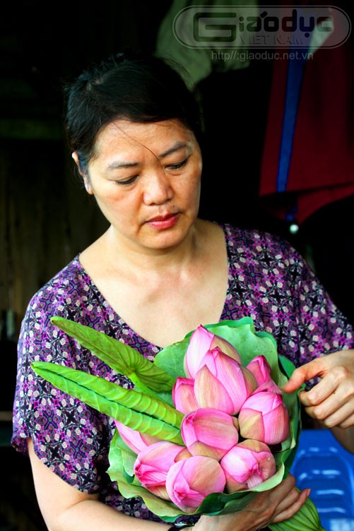 Những cánh hoa sen luôn được nâng niu cẩn thận, Xem thêm Hình ảnh Việt Nam