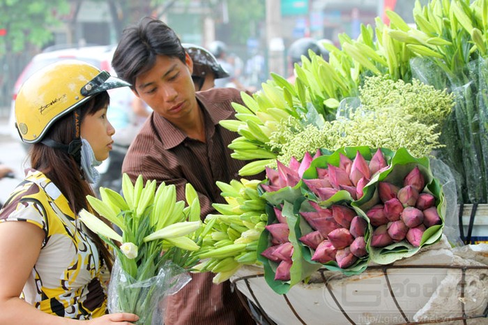 Và mỗi khi tháng 5 về, cái nắng vàng rực rỡ của mùa hè đến thì hoa sen lại tràn ngập khắp phố phường, phục vụ thú chơi đầy tao nhã, thanh tịnh của mỗi người. Xem thêm Hình ảnh Việt Nam