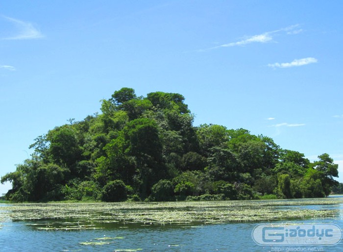 Đảo Độc lập - hòn đảo nằm một mình giữa hồ với hệ thực vật dày đặc. Xem thêm 'Say' với cảnh sắc nước non hùng vĩ lãng mạn của hồ Quan Sơn (P1)