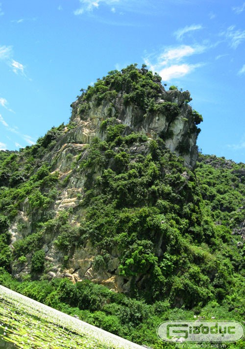 Dù là núi đá vôi, nhưng nơi đây vẫn có thảm thực vật rất xanh tốt. Xem thêm 'Say' với cảnh sắc nước non hùng vĩ lãng mạn của hồ Quan Sơn (P1)