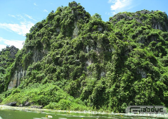 Vẻ hoang sơ của núi rừng nơi đây khiến du khách phải mê lòng. Xem thêm 'Say' với cảnh sắc nước non hùng vĩ lãng mạn của hồ Quan Sơn (P1)
