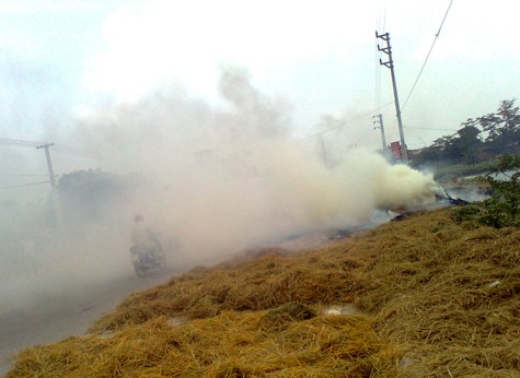 Tuy nhiên, cho tới nay tình trạng đốt rơm rạ vẫn xảy ra và Hà Nội vẫn tiếp tục phải hứng chịu khói, ô nhiễm môi trường.