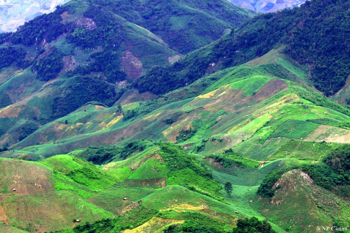 Những cánh đồng, những thửa ruộng được tạo nên với những gam màu khác nhau khiến cảnh sắc nơi đây như bức tranh sơn màu về sự hùng vĩ của núi rừng Tây Bắc.