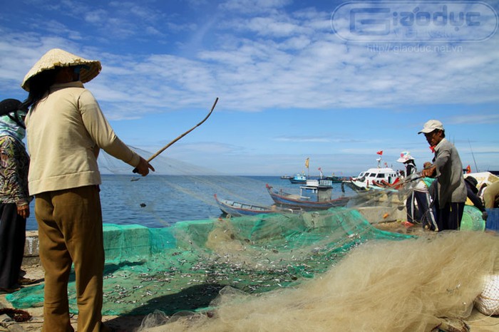 Đa số người dân ở huyện đảo Lý Sơn thường đánh bắt gần bờ, một số ít thì ra các ngư trường ngoài xa, một số đi nuôi cá lồng ngoài Trường Sa, Hoàng Sa.