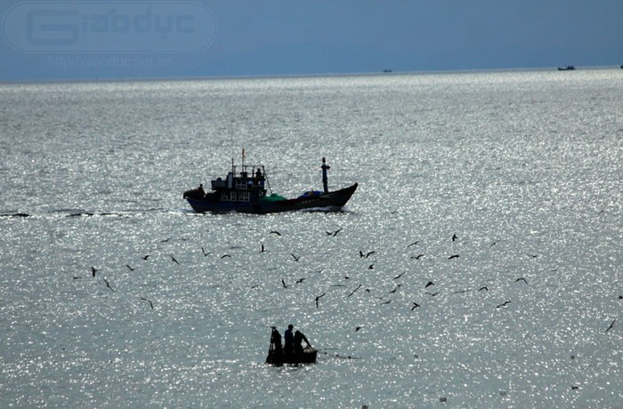Những ngư dân xã đảo An Bình buông lưới khi hoàng hôn xuống.