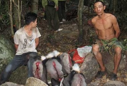 Nạn săn bắt các loại động vật quý hiếm ở Việt Nam đang diễn ra hết sức phức tạp. (Ảnh Tuổi trẻ)