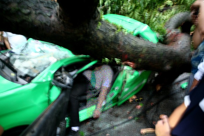 Cây xà cử cổ thụ trên phố Lò Đúc đã bị gió quật đổ, đè bẹp lên chiếc taxi của hãng Mai Linh khiến lái xe chết ngay tại chỗ.