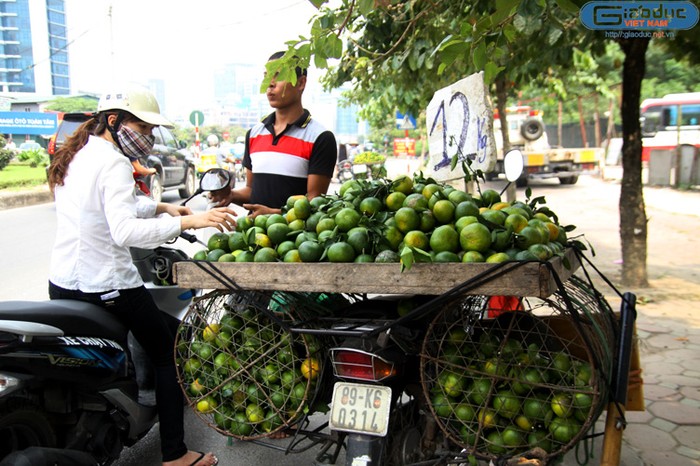 Tại đường Nguyễn Phong Sắc kéo dài, có tới cả chục xe máy, xe đạp chở đầy cam bán với giá rẻ.