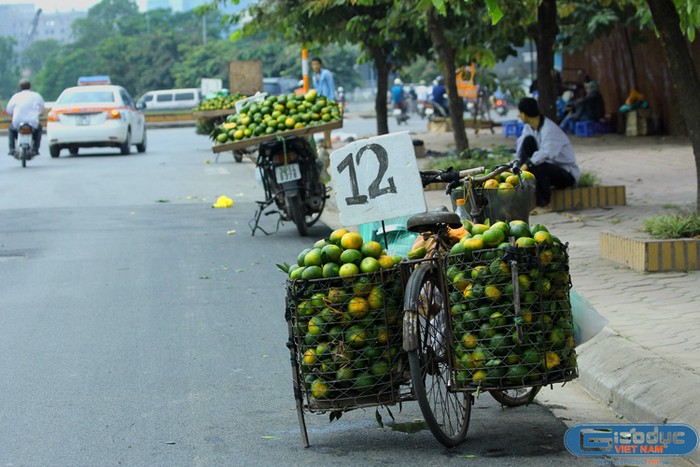 “Cam Trung Quốc, rẻ nên chắc cũng không nhiều chất bảo quản đâu, nhưng cứ đề phòng, vì hoa quả Trung Quốc vô chừng lắm”, một người bán hàng dè chừng.