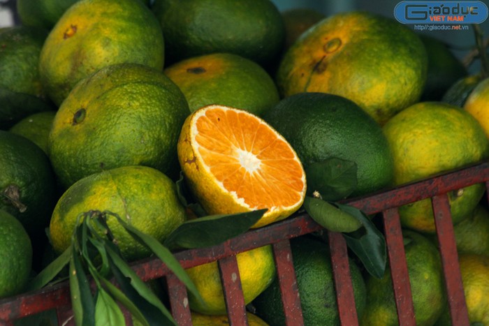 Ai dám khẳng định rằng những quả cam này không chứa chất bảo quản độc hại?