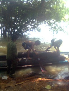 Vận chuyển gỗ trên sông Sêrê Pốk