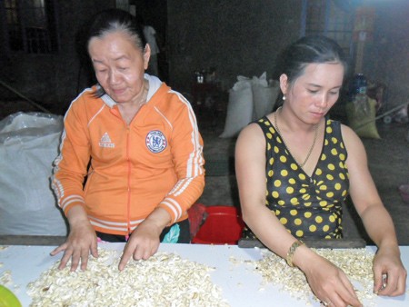 Chị Phượng (bên trái) đang lựa hạt điều tại Cơ sở chế biến hạt điều Kim Chi - Ảnh: Xuân Bình