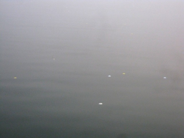 Vào buổi chiều do lượng người chơi nhiều, bóng rơi đầy mặt hồ, thỉnh thoảng lại có người chèo thuyền ra vớt bóng về.