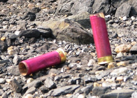 Hưng và Thạch được xác định bị bắn chết bằng súng bắn đạn ghém