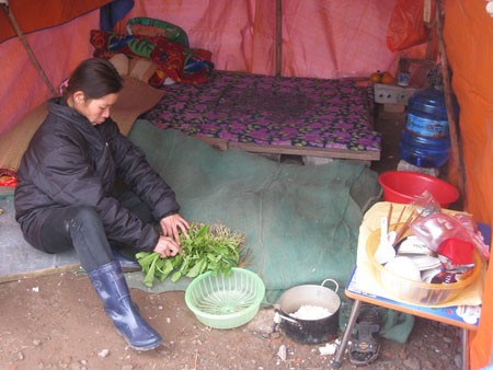 Bà Nguyễn Thị Thương trong căn lều dựng tạm ở phần đất bị cưỡng chế.