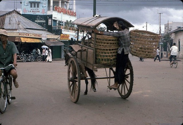 Xe ngựa trên đường phố Sài Gòn