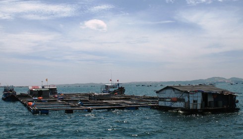 Bè cá của người Trung Quốc tại vịnh Cam Ranh. Ảnh: Nguyễn Nam Anh/VNE