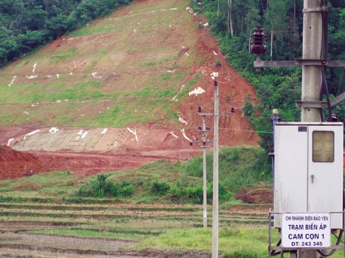 Cỏ lạ trồng trên mái ta luy gói thầu số 7 dự án cao tốc Nội Bài - Lào Cai - Ảnh: C.T.V