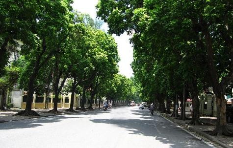 Đường Trần Phú (Hà Nội)