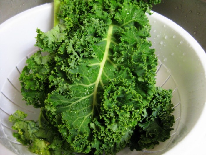 15. Cải xoăn: Giống như cải bó xôi, cải xoăn cũng có nhiều vitamin A, lutein, và zeaxathin.