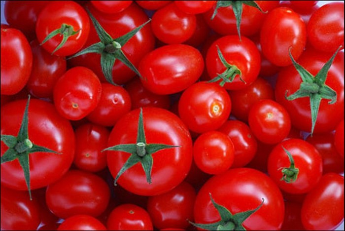 15. Cà chua: Cà chua cũng được xếp loại là loại thực phẩm dễ bị nhiễm khuẩn, vì vậy bạn cần rửa cà chua thật kỹ trước khi chế biến.
