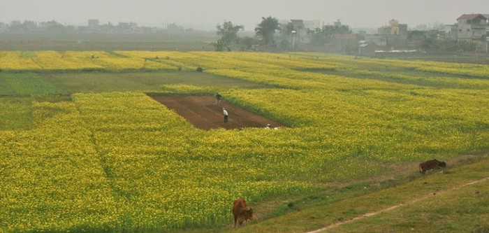 Xã Lệ Chi nằm ở bờ Nam sông Đuống cuối huyện về phía Đông nam, người dân nơi đây chủ yếu trồng lúa và trồng hoa màu.