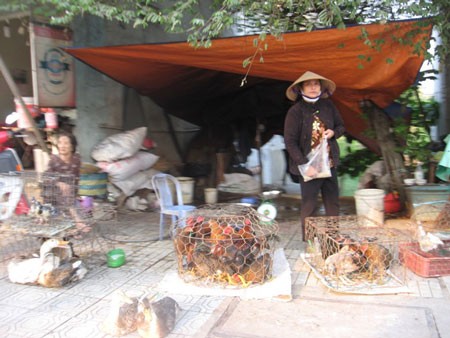 Một điểm buôn, bán và giết mổ tạm bợ trên đường Đồng Khởi, TP Biên Hòa.