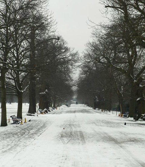 Công viên Greenwich.