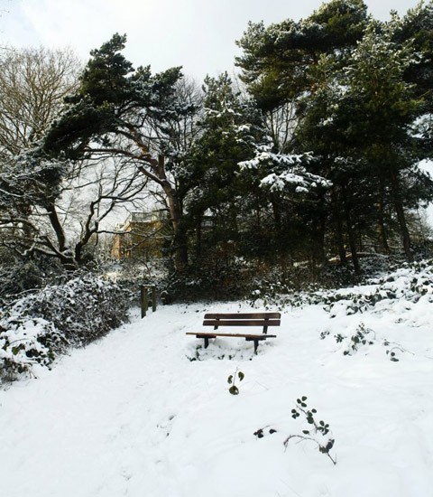 Ghế công viên cô đơn trong tuyết trắng.