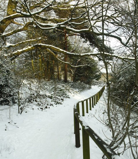 Lối vào công viên Hampstead Heath.