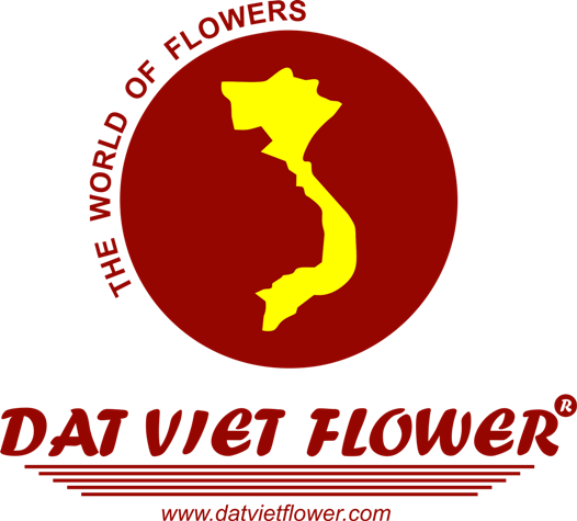 Logo Công ty hoa Đất Việt