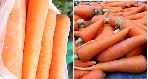 Cà rốt ta củ nhỏ, đậm màu, tươi mới, thường có cuống (phải), không như cà rốt Trung Quốc (trái) bóng loáng, đều củ, to, không có cuống hay đầu thường bị đen do để lâu.