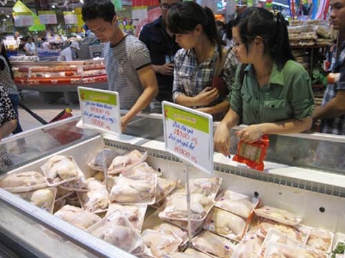Sau thời gian dài vắng bóng, gà đẻ loại thải nhập khẩu từ Hàn Quốc lại xuất hiện trên thị trường, đặc biệt là trong hệ thống siêu thị.