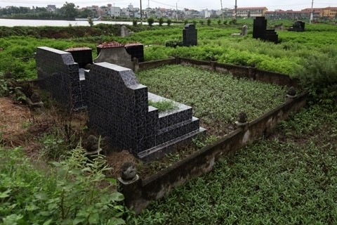 Khoảnh ruộng rau muống chiếm hết phần đất trống trong một khu mộ.