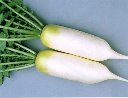 Củ cải trắng chứa độc tố furocoumarins có thể gây đau dạ dày hoặc phản ứng rát bỏng trên da khi tiếp xúc.