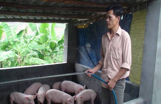 Anh Trần Văn Tình (Trịnh Tường) cai nghiện thành công 2004 dần thoát nghèo nhờ vốn vay dự án VNMJ04