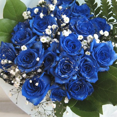 Mỗi bông hồng xanh trên thị trường có giá khoảng 50.000 đồng.