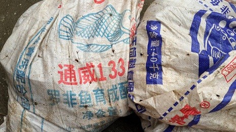 Bên ngoài các bao tải chứa ếch sống đều có chữ Trung Quốc.