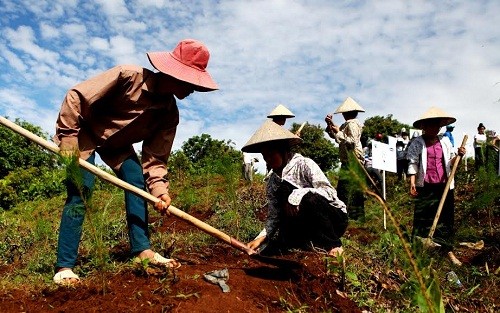 Đồng bào dân tộc tại Điện Biên cùng tham gia trồng cây cùng Quỹ 1 triệu cây xanh cho Việt Nam.