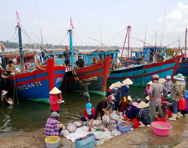 Cả ngư dân và người tiêu dùng thấp thỏm trước thông tin hải sản ở tầng đáy gần bờ chưa an toàn (Ảnh: Thủy Phan)