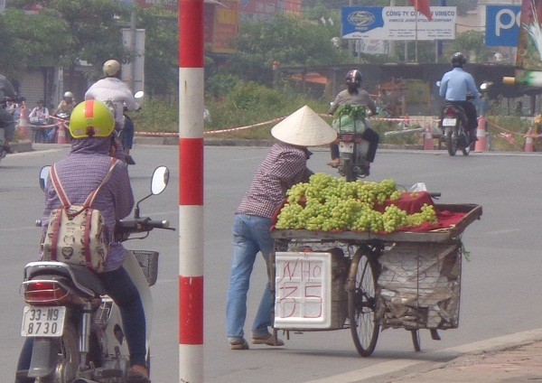 Xe hàng nối tiếp nhau bán nho rẻ trên đường Hồ Tùng Mậu. Ảnh: Nguyễn Quân.