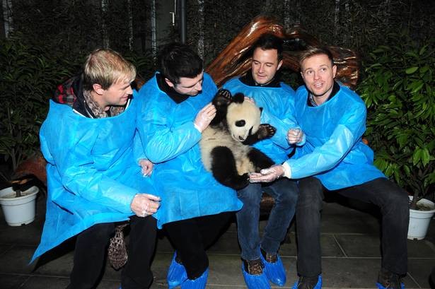 4 chàng trai của nhóm nhạc ( Kian, Nicky, Mark và Shane) đang vuốt ve một con gấu trúc xinh đẹp.