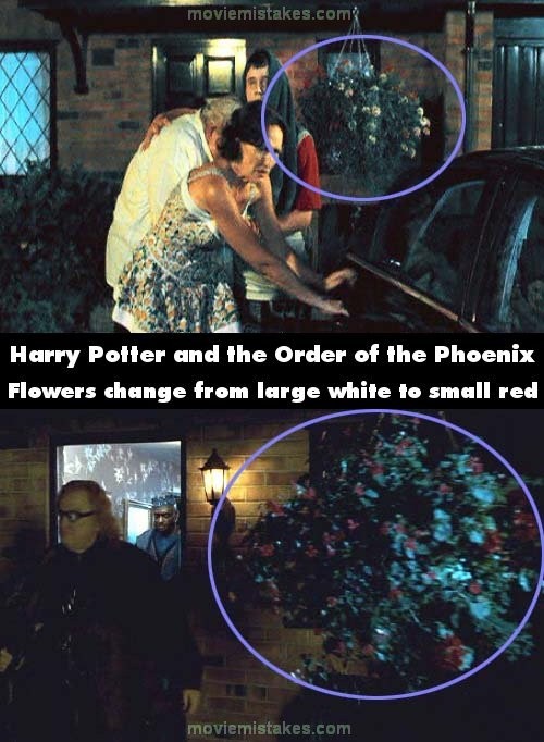 Trong phim “Harry Potter and the Order of the Phoenix” (Harry Potter và mệnh lệnh phượng hoàng), cảnh Dursleys chuẩn bị dời đi bằng ô tô, có một giỏ hoa lớn với những bông hoa màu trắng được treo ở đằng trước, bên phải ngôi nhà. Nhưng đến khi Harry, Moody, Tonks và những người còn lại dời khỏi ngôi nhà thì những bông hoa trên đã biến thành những bông hoa nhỏ có màu đỏ