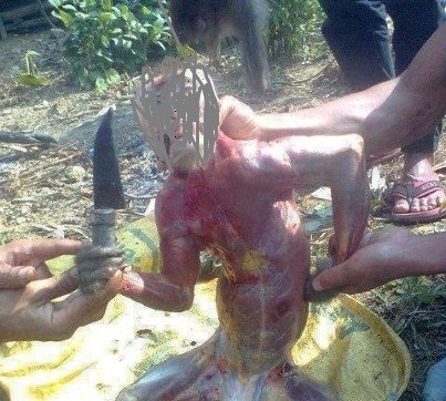 Hình ảnh về một con khỉ đang bị lột da được đăng tải trên facebook.