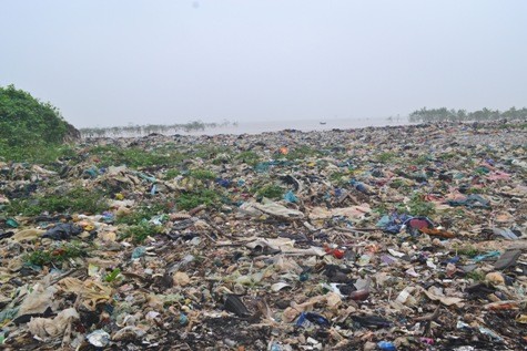 Hiện nay cả xã Ngư Lộc có 315 tàu, thuyền đánh bắt hải sản ngoài khơi, thu hút trên 2.500 lao động trực tiếp. Theo thống kê của UBND, mỗi ngày người dân Ngư Lộc thải ra môi trường gần 7 tấn rác thải rắn và tất cả đều đổ ra biển vì không có bãi rác tập trung.