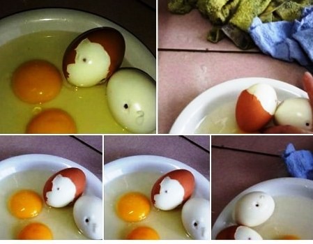 Một số hình ảnh thất thiệt về &quot;trứng gà có HIV&quot; được tung lên mạng xã hội (nguồn: Internet)