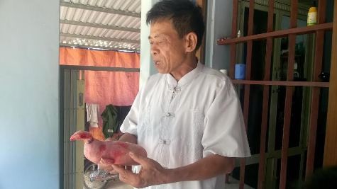 Ông Nguyễn Văn Minh cầm trên tay con &quot;quái thú&quot; đầu gà, thân lợn (ảnh: ĐỨC THIỆN)