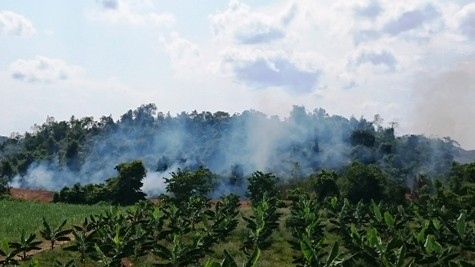 Diện tích đất có rừng bị đốt cháy (ảnh: PT)