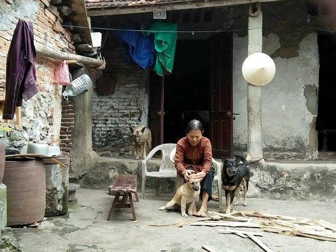Bà Lê Thị Lũy (73 tuổi, trú tại phố 7, phường Đông Cương, TP. Thanh Hóa), một trong những hộ dân trong diện đền bù của dự án, gia cảnh nghèo khổ nhưng cán bộ vẫn quyết xin bà tiền đền bù.